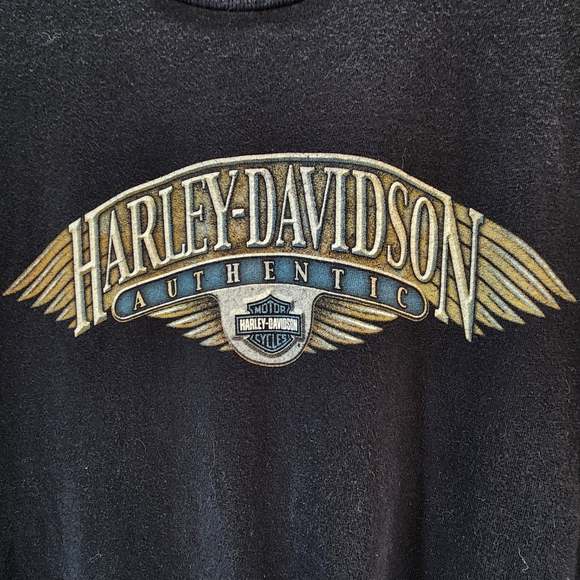 Vintage Harley-Davidson 2004 Black Graphic T-Shirt Large Biker Tee Grunge Y2K - Picture 3 of 9